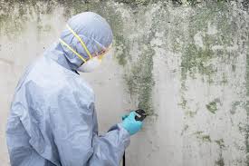 Best Mold Remediation for Healthcare Facilities  in Langhorne Manor, PA